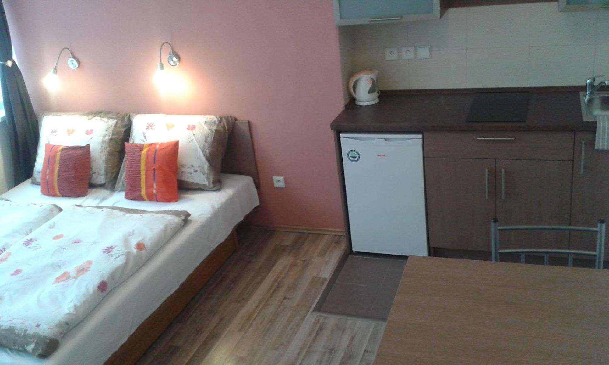 Hotel Gol Prostějov 객실 사진